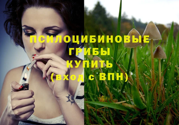 марки nbome Осинники