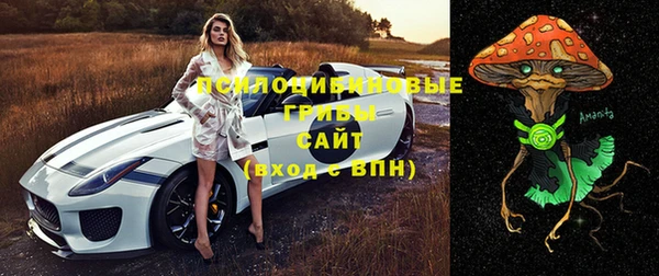 эйфоретик Осташков