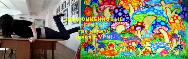 эйфоретик Осташков