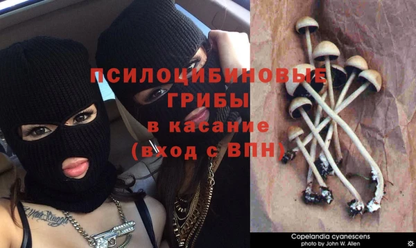 спиды Нягань